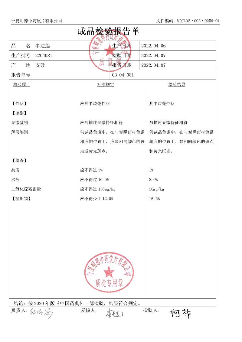 2204081半邊蓮.jpg