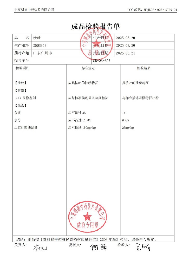 2503353桉葉.jpg